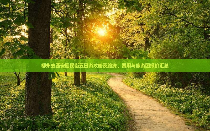 柳州去西安回民街五日游攻略及路线、费用与旅游团报价汇总
