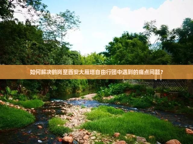如何解决鹤岗至西安大雁塔自由行团中遇到的痛点问题？