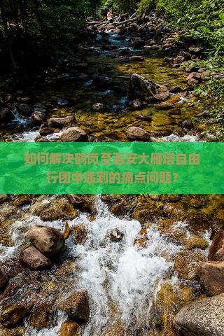如何解决鹤岗至西安大雁塔自由行团中遇到的痛点问题？