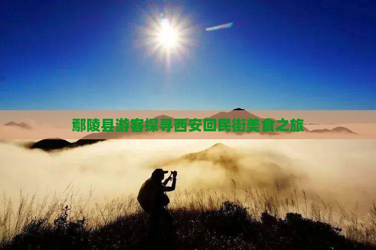 鄢陵县游客探寻西安回民街美食之旅