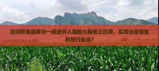 如何在娄底策划一场避开人潮的大雁塔三日游，实现说走就走的旅行自由？