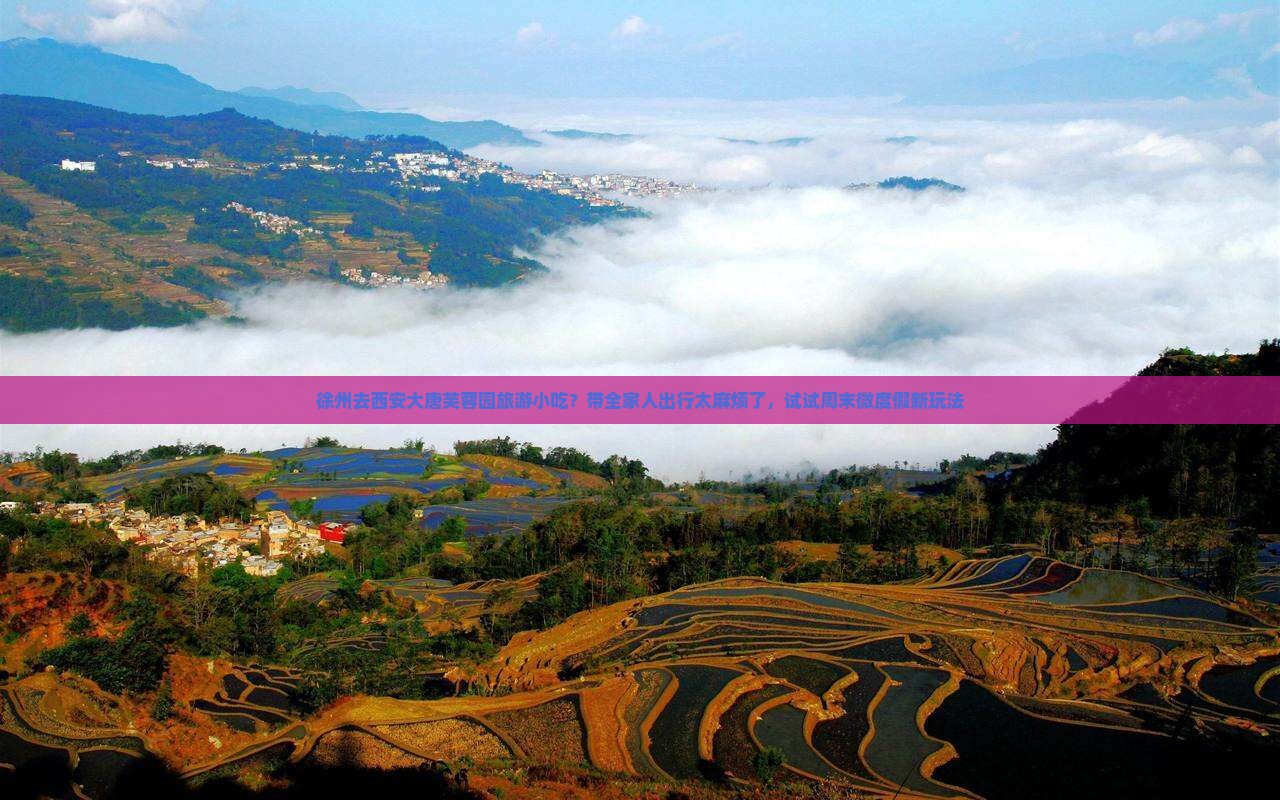 徐州去西安大唐芙蓉园旅游小吃？带全家人出行太麻烦了，试试周末微度假新玩法