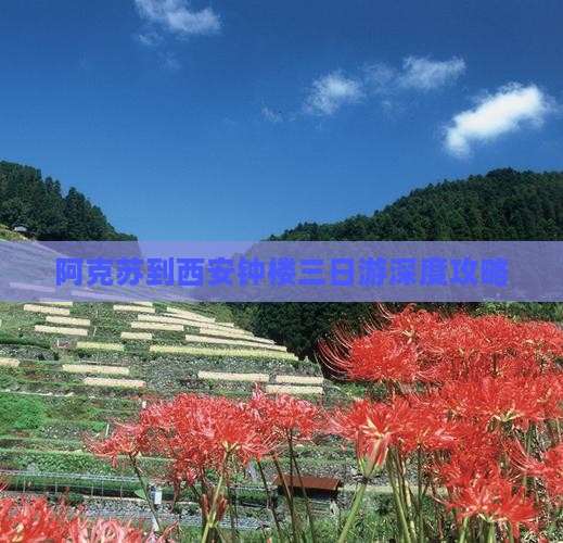 阿克苏到西安钟楼三日游深度攻略
