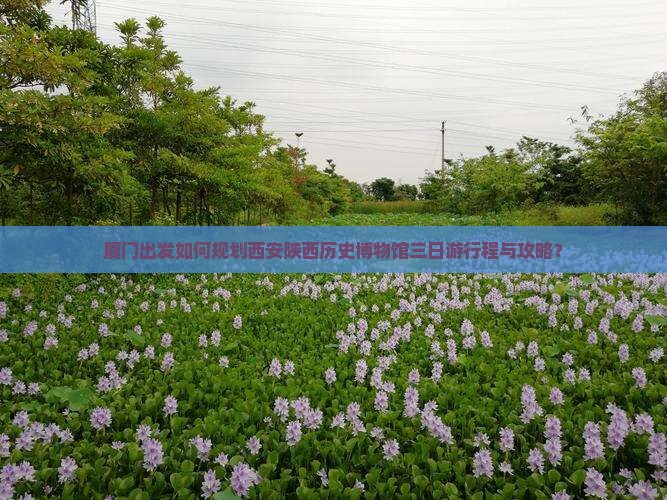 厦门出发如何规划西安陕西历史博物馆三日游行程与攻略？