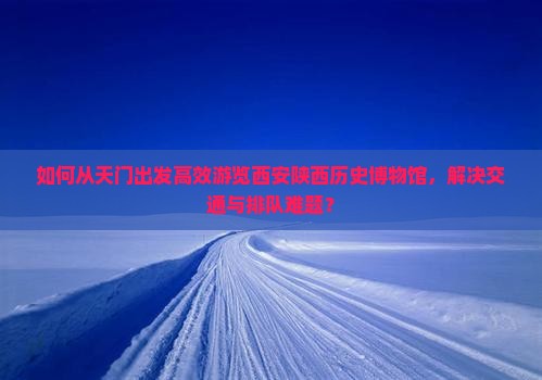 如何从天门出发高效游览西安陕西历史博物馆，解决交通与排队难题？
