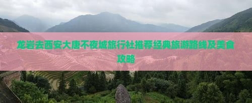龙岩去西安大唐不夜城旅行社推荐经典旅游路线及美食攻略