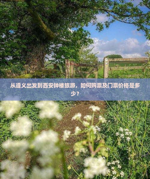 从遵义出发到西安钟楼旅游，如何购票及门票价格是多少？