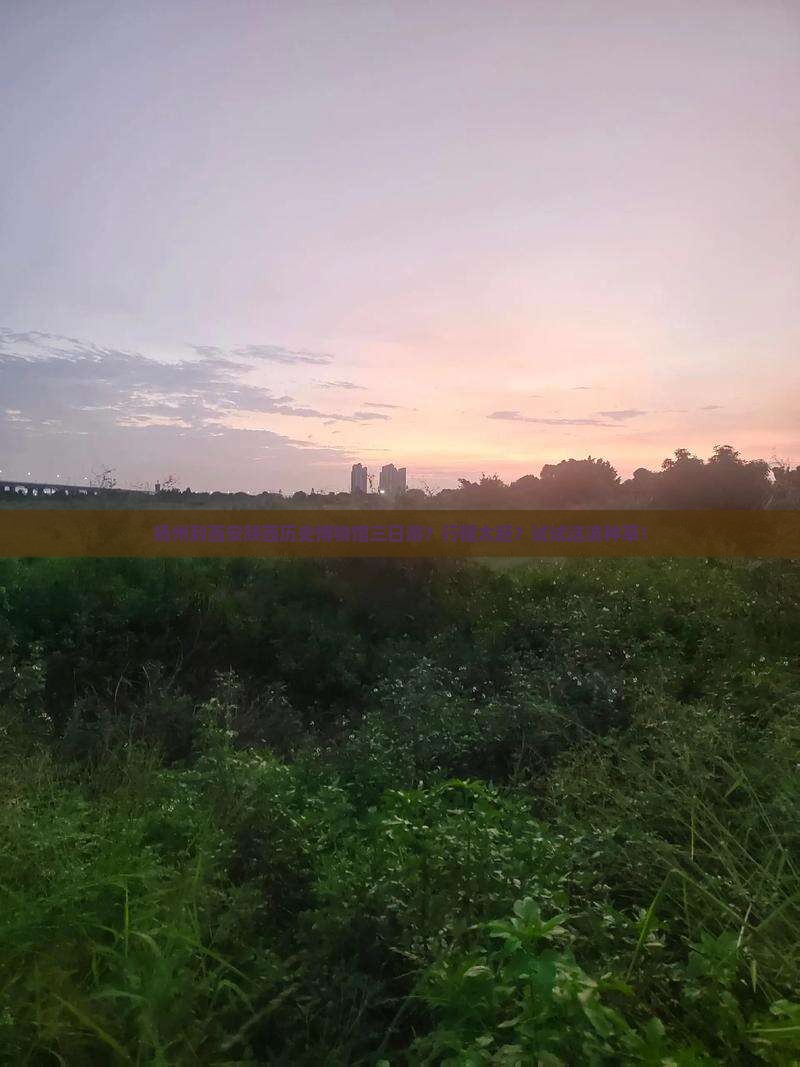 扬州到西安陕西历史博物馆三日游？行程太赶？试试这波种草！