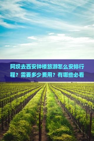 阿坝去西安钟楼旅游怎么安排行程？需要多少费用？有哪些必看景点？