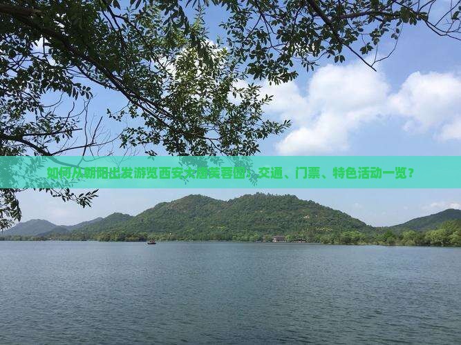 如何从朝阳出发游览西安大唐芙蓉园：交通、门票、特色活动一览？