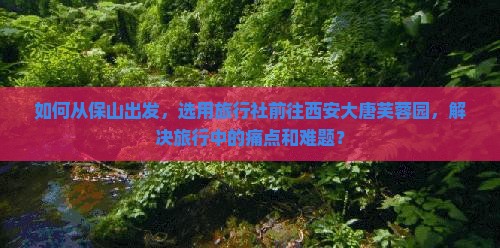 如何从保山出发，选用旅行社前往西安大唐芙蓉园，解决旅行中的痛点和难题？
