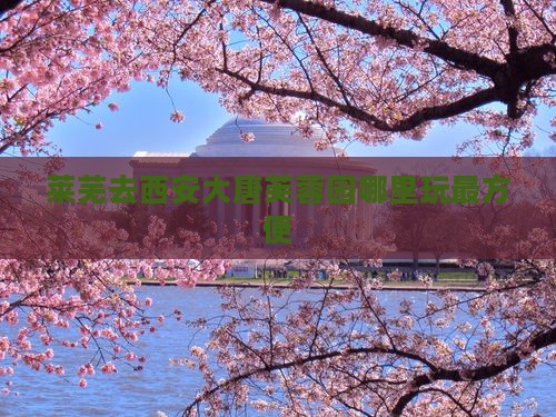 莱芜去西安大唐芙蓉园哪里玩最方便