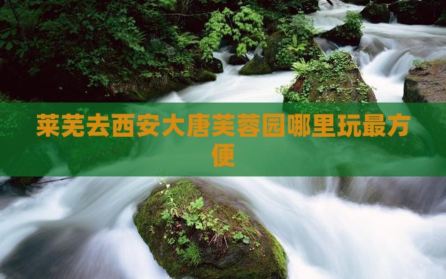莱芜去西安大唐芙蓉园哪里玩最方便