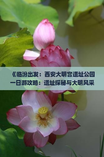 《临汾出发：西安大明宫遗址公园一日游攻略：遗址探秘与大明风采体验》