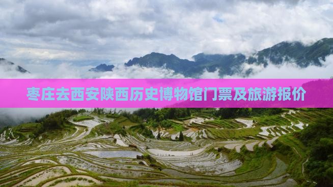 枣庄去西安陕西历史博物馆门票及旅游报价
