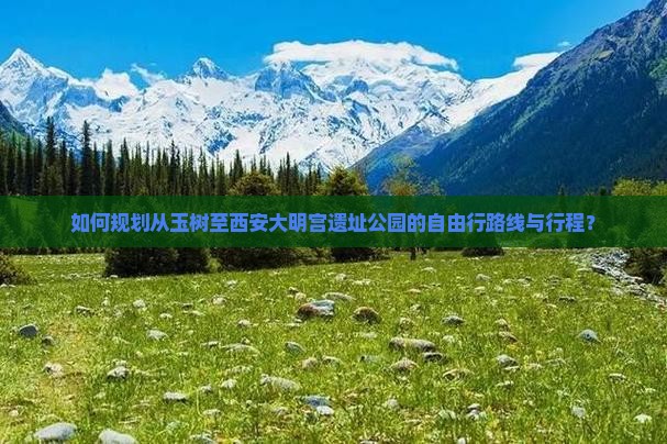 如何规划从玉树至西安大明宫遗址公园的自由行路线与行程？