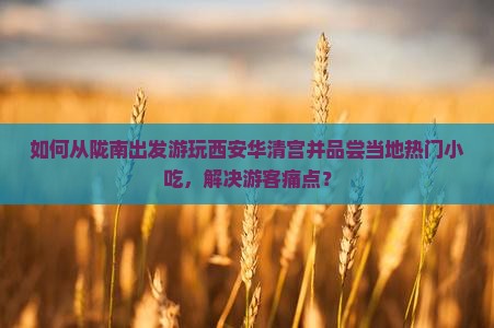 如何从陇南出发游玩西安华清宫并品尝当地热门小吃,解决游客痛点? 如何从陇南出发游玩西安华清宫并品尝当地热门小吃,解决游客痛点?