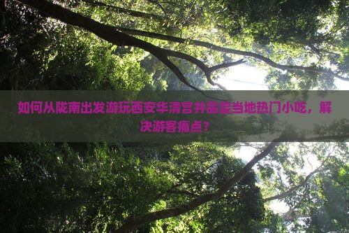 如何从陇南出发游玩西安华清宫并品尝当地热门小吃,解决游客痛点? 如何从陇南出发游玩西安华清宫并品尝当地热门小吃,解决游客痛点?
