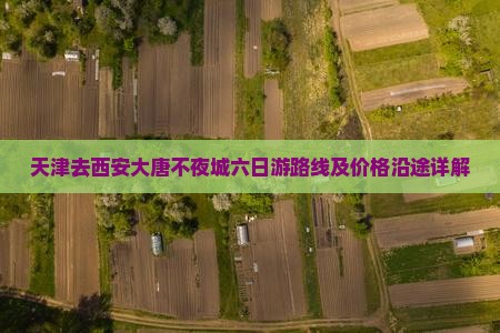 天津去西安大唐不夜城六日游路线及价格沿途详解 天津去西安大唐不夜城六日游路线及价格沿途详解
