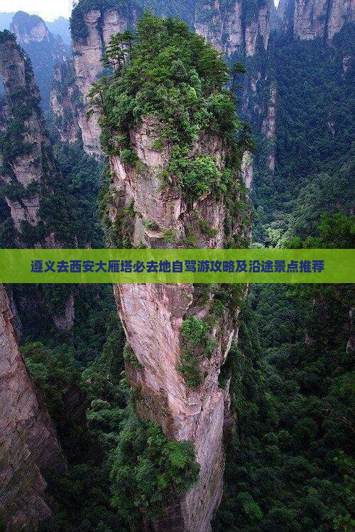 遵义去西安大雁塔必去地自驾游攻略及沿途景点推荐
