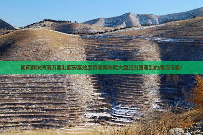 如何解决海南游客赴西安秦始皇帝陵博物院大型旅游团遇到的痛点问题? 如何解决海南游客赴西安秦始皇帝陵博物院大型旅游团遇到的痛点问题?