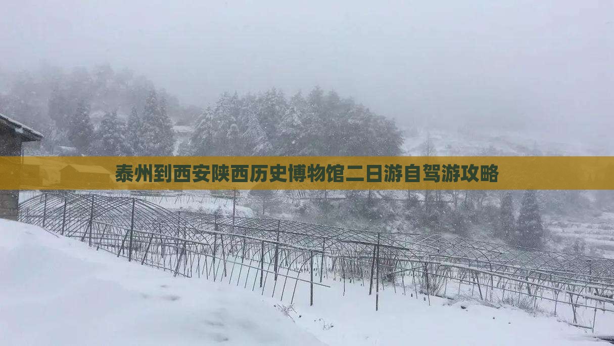 泰州到西安陕西历史博物馆二日游自驾游攻略