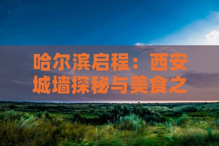 哈尔滨启程：西安城墙探秘与美食之旅