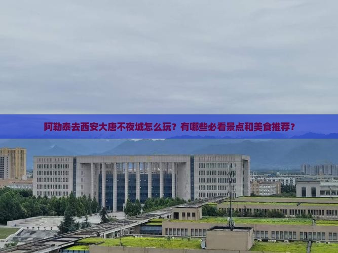 阿勒泰去西安大唐不夜城怎么玩？有哪些必看景点和美食推荐？