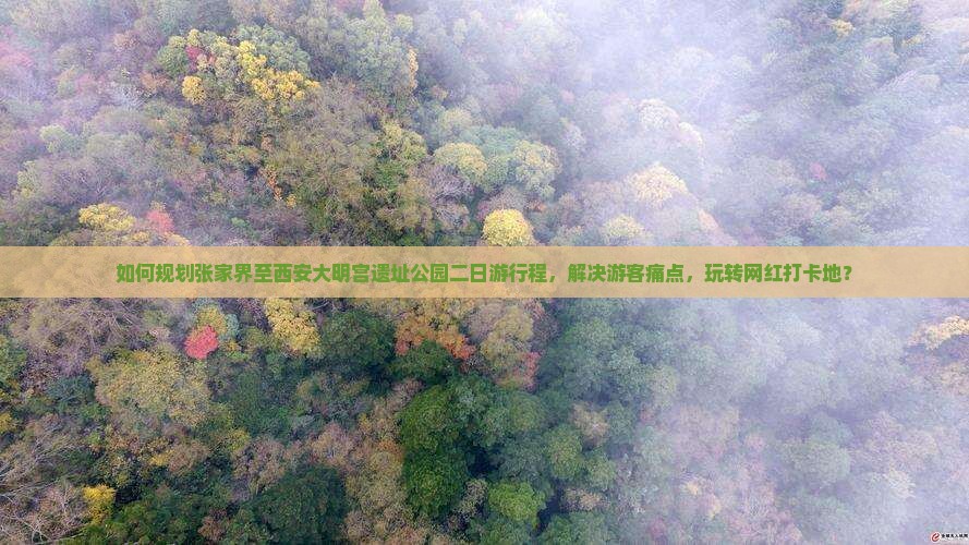 如何规划张家界至西安大明宫遗址公园二日游行程，解决游客痛点，玩转网红打卡地？