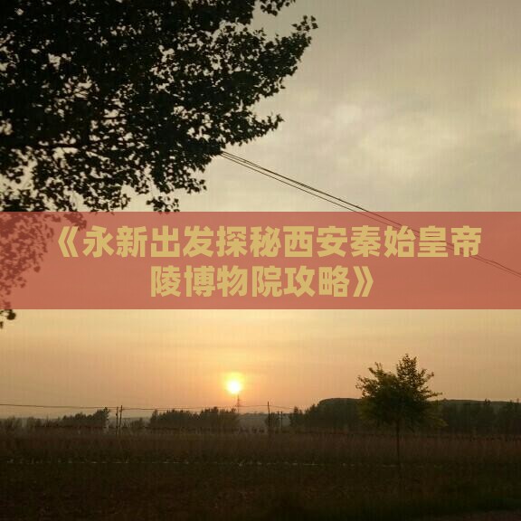 《永新出发探秘西安秦始皇帝陵博物院攻略》