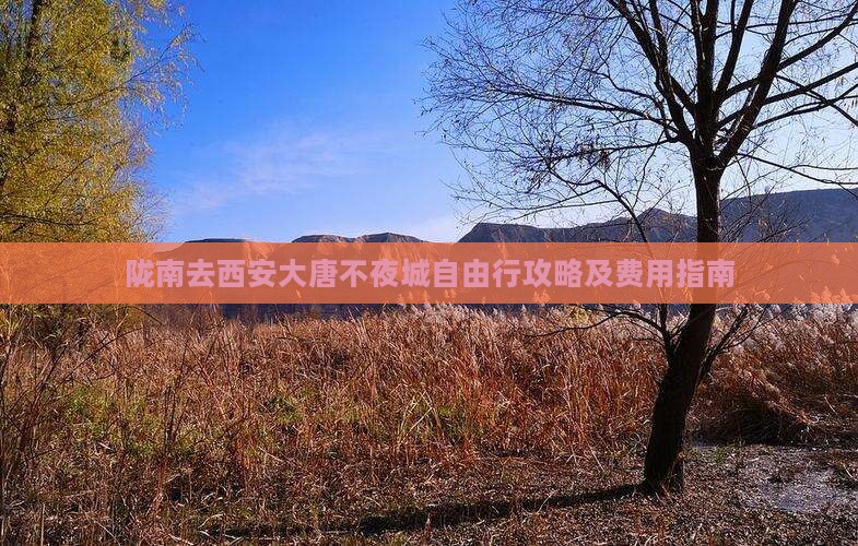 陇南去西安大唐不夜城自由行攻略及费用指南