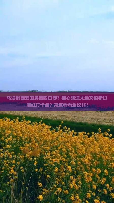 乌海到西安回民街四日游？担心路途太远又怕错过网红打卡点？来这看看全攻略！
