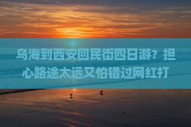 乌海到西安回民街四日游？担心路途太远又怕错过网红打卡点？来这看看全攻略！