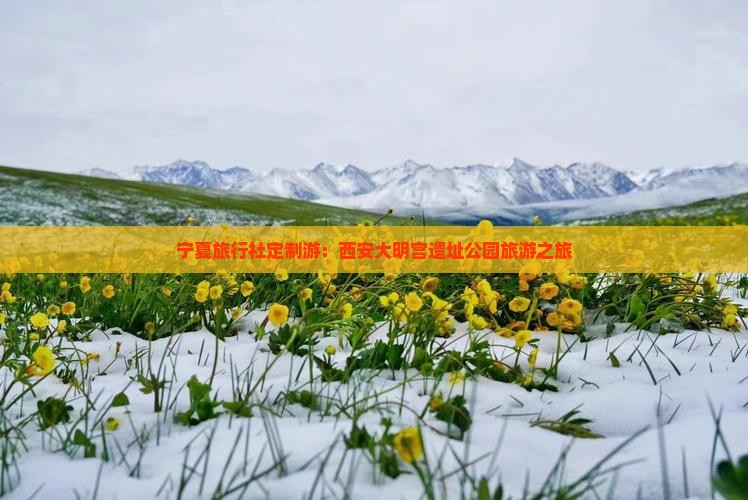 宁夏旅行社定制游：西安大明宫遗址公园旅游之旅
