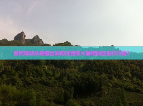 如何规划从楚雄出发前往西安大雁塔的自由行行程？