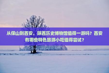 从保山到西安，陕西历史博物馆值得一游吗？西安有哪些特色旅游小吃值得尝试？