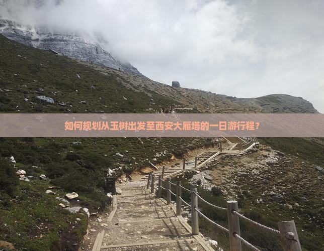 如何规划从玉树出发至西安大雁塔的一日游行程？