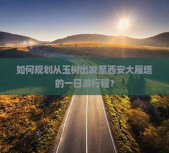 如何规划从玉树出发至西安大雁塔的一日游行程？