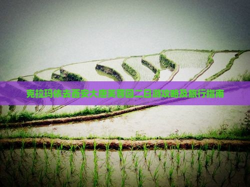 克拉玛依去西安大唐芙蓉园二日游攻略及旅行指南