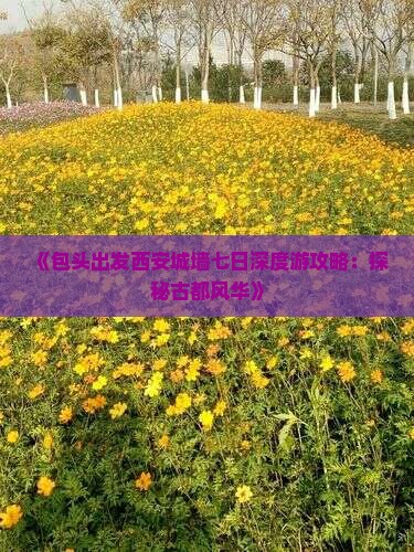 《包头出发西安城墙七日深度游攻略：探秘古都风华》