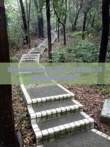 福州出发西安大唐不夜城二日游攻略：深度体验西安旅游魅力