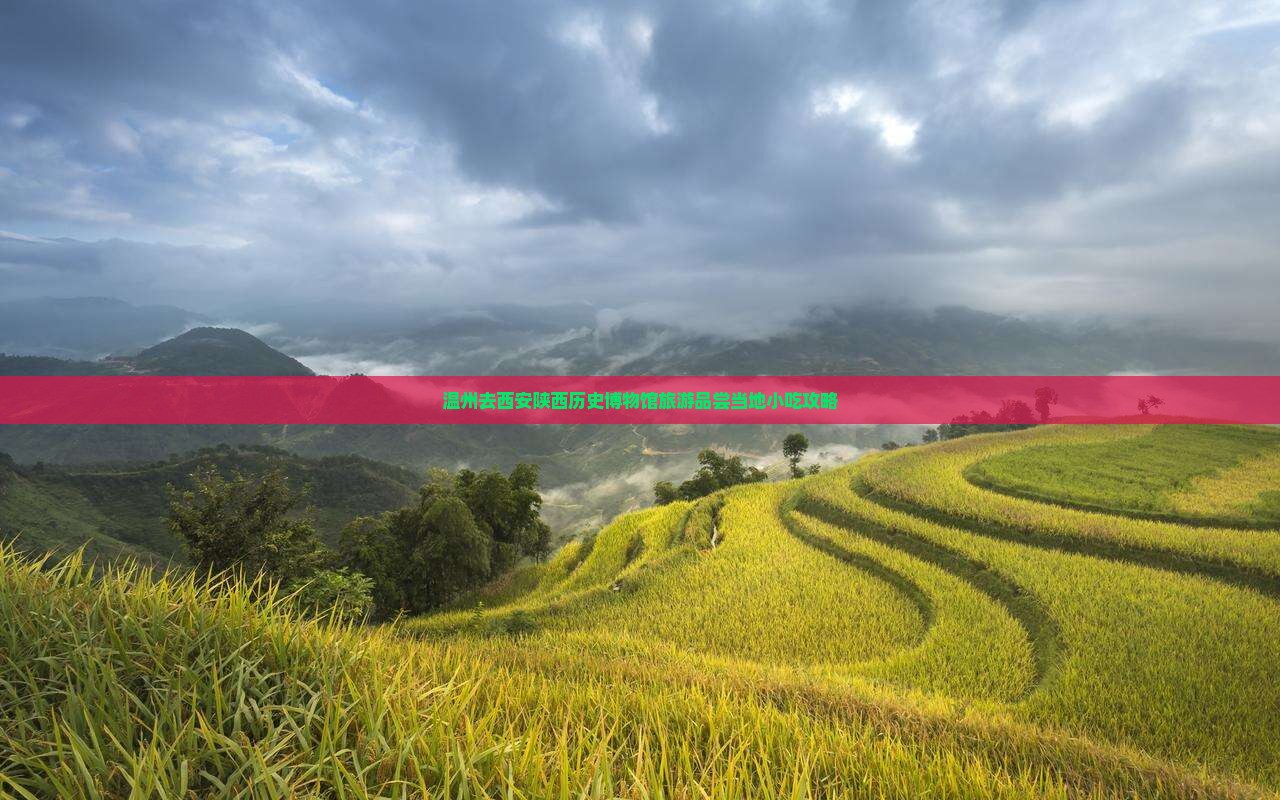温州去西安陕西历史博物馆旅游品尝当地小吃攻略