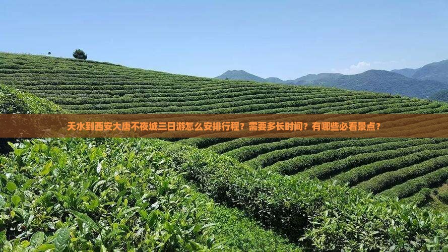天水到西安大唐不夜城三日游怎么安排行程？需要多长时间？有哪些必看景点？