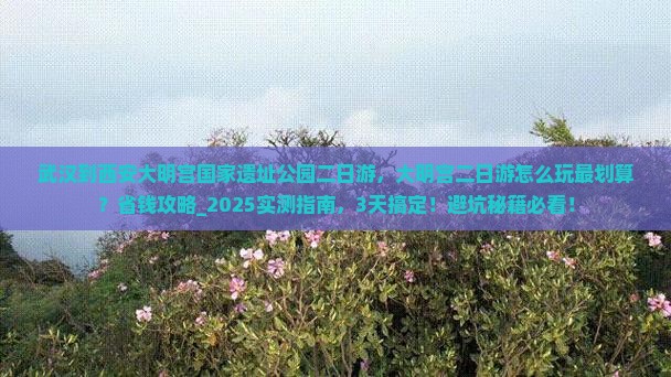 武汉到西安大明宫国家遗址公园二日游