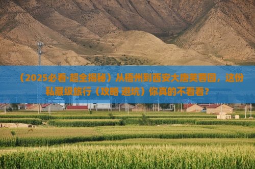 梧州去西安大唐芙蓉园必去地