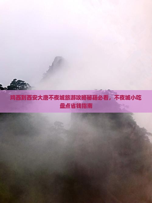 鸡西到西安大唐不夜城旅游小吃