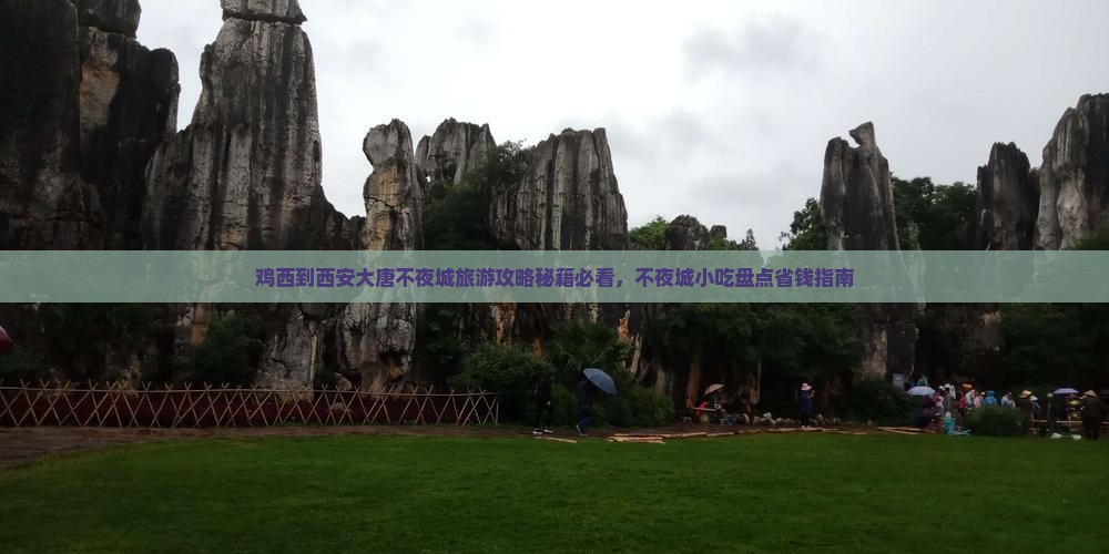 鸡西到西安大唐不夜城旅游小吃