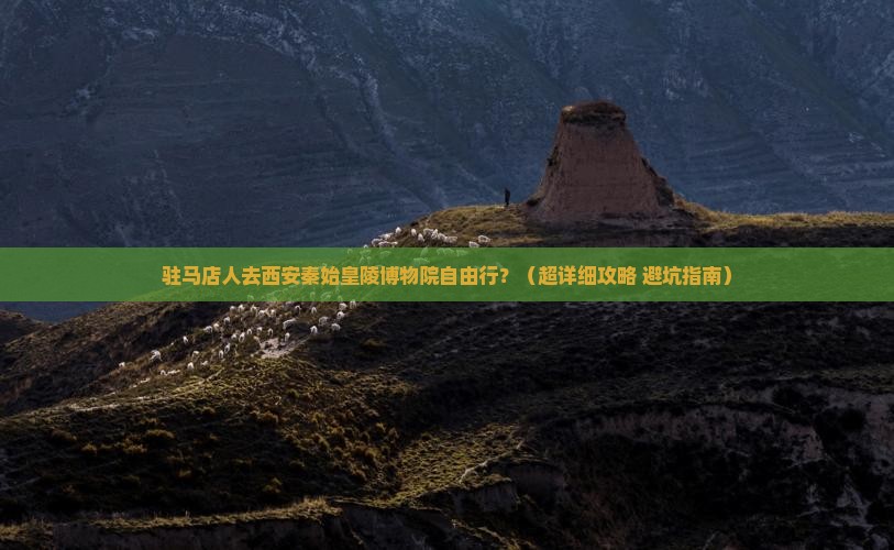 驻马店到西安秦始皇帝陵博物院自由行 驻马店到西安秦始皇帝陵博物院自由行