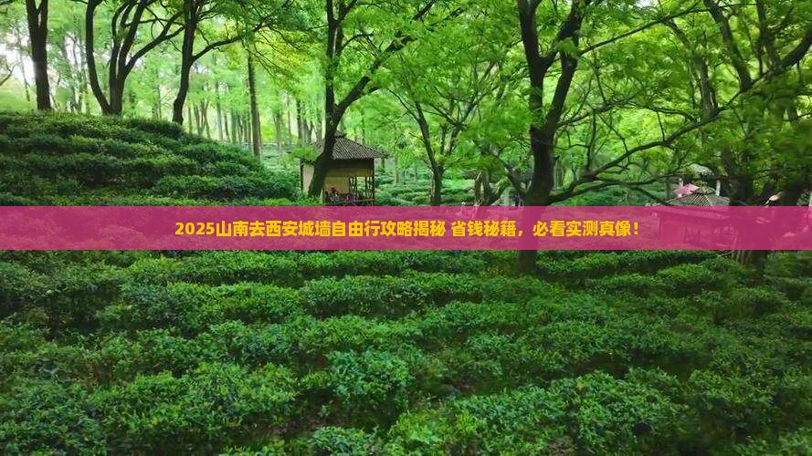 山南去西安城墙自由团