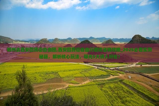 郴州去西安回民街自由团